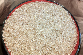 生活応援米【令和7年産】　 『ふさこがね』　玄米30kg 千葉県産 （2025年12月収穫　二番穗）