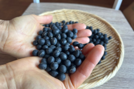 奥出雲産自然栽培丹波黒豆(130g)