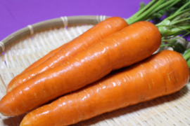 穫れたて直送🥕食べやすくて あま～い「ほのぼのキャロット」人参４．５㎏