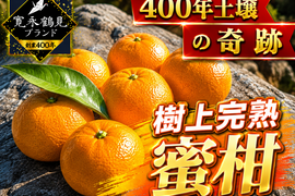 【日テレ出演話題沸騰】市場にはなかなか出回らない樹上完熟ミカン🍊寛永鶴見ブランド樹上完熟蜜柑お得な大容量約5キロ【贈答用】【冬ギフト】みかん