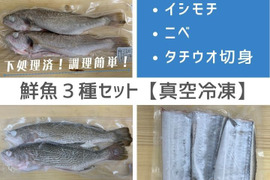 【急速冷凍・真空】鮮魚３種セット（イシモチ・ニベ・タチウオ切身）【下処理済