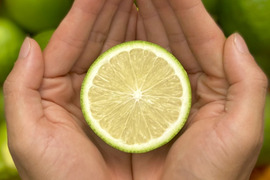 【薄皮】グリーンレモン 3kg【種が少ない】【防腐剤・ワックス不使用】