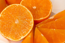 【オープン記念 50セット限定】完熟ハウス 福まどんな《ご家庭用1kg》｜Sサイズ｜愛媛・西宇和産