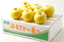 シナノゴールド3キロ　8～10玉　収穫後冷蔵庫保管から今目覚めた黄色いりんご