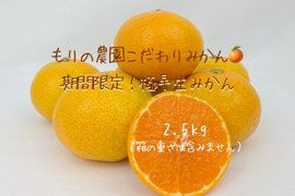 【期間限定】もりの農園こだわり極早生みかん2.5kg