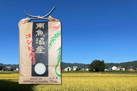 【南魚沼産】コシヒカリ 白米５㎏ 香り高く甘さ際立つ冷めてもおいしいお米