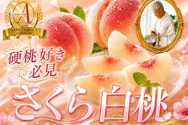 【カリカリ食感桃】硬め桃好きが虜になる驚異の大玉桃『さくら白桃』🍑品種指定キャンペーン🍑お試し約1.5kg【朝どれ】高級もも☆家庭用・贈り物にも贅沢夏の締めくくりギフト【8月下旬予約】