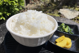 楽天市場】兵庫県産 コシヒカリの通販