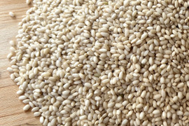 農薬化学肥料不使用『タキタテ』冷めてもモチモチ！玄米10kg令和７年産　信州佐久穂町