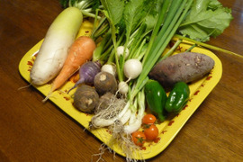 【野菜セットＳ秋冬】お試しサイズの露地野菜