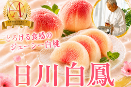 【果汁溢れる王道桃】とろける食感のジューシー桃『日川白鳳』一口で溢れる至福のしずく🍑品種指定キャンペーン🍑お試し約1.5kg【朝どれ】高級もも☆家庭用・贈り物にも贅沢お中元ギフト【6月下旬予約】