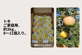 ご予約受付中！青森県産 りんご トキ （ご家庭用・3kg箱 7～11玉）