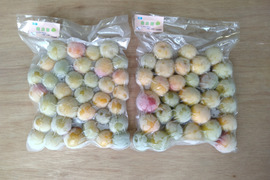 冷凍紀州南高梅！ヘタ取り・洗浄済み　中粒～大粒 2kg  (1Kg×2袋)