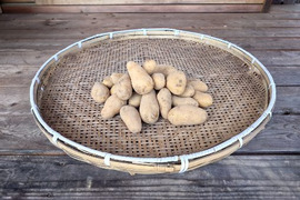 自然栽培　メークイン　箱込　２ｋｇ