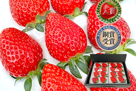 【ギフト・贈答用】甘味とコクのバランス良し！鮮やかな赤色いちごのよつぼし