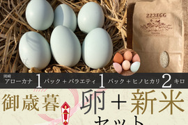 御歳暮［平飼い卵「岡崎アローカナ」 1パック +「バラエティパック」 1パック +特別栽培米「ヒノヒカリ」2㎏ ］223EGG 冬ギフト【新米・令和5年産】