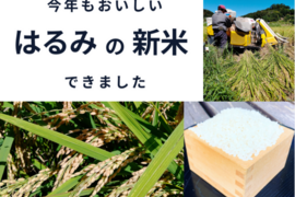 【R4年新米5kg】特A受賞米はるみ♫精米歩合選択可