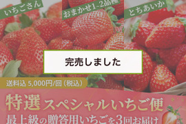 いちごさんの通販｜いちご｜食べチョク｜産地直送(産直)お取り寄せ通販 - 農家・漁師から旬の食材を直送