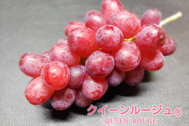 ◆◇◆注目！！！！◆◇◆
激推し！あのシャインマスカットの子供【クイーンルージュ®️】＃種なし＃皮ごと食べれる！
計2～3房