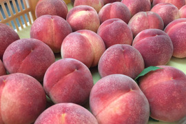 【ご自宅用】なつっこ2kg🍑