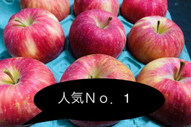 蜜入りもあり　葉取らずサンフジご家庭用約５キロ