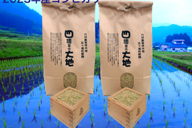 新米！四億年の大地米コシヒカリ　玄米５㎏×2個　2023年度