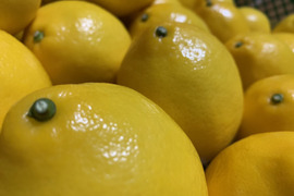 お得な限定セット‼️特大八丈レモンと明日葉