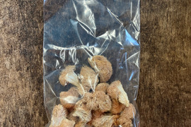 【希少きのこ】乾燥山伏茸　２０ｇ　【数量限定】【訳あり】
