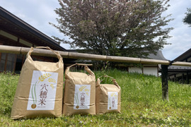 旨みたっぷり！穴穂米５kg