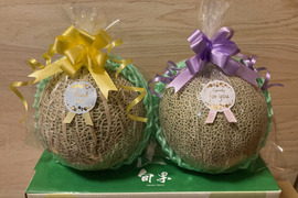 【母の日限定】茨城県旭村産　 アンデス&クインシーメロン詰め合わせ（2玉）