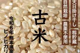 農薬不使用 天日掛け干し 玄米10kg 令和6年産 古米(ふるまい)