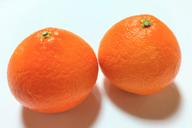 頂プリンセス秀品 2kg【熨斗対応可】