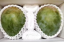 【8月発送】伊江島産キーツマンゴー（優品・2kg・2〜3個入り）