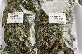 長崎産 自然農法の畑の新芽よもぎ茶1袋50gX2袋。世界一安全。（特典あり：8000円以上ご購入の方自然農法の物プレゼント有り）香り、味、色ともに最高