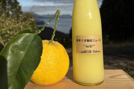 【ギフト】あまくさ晩柑（河内晩柑）ジュース　ストレート果汁100% 箱入り2本セット