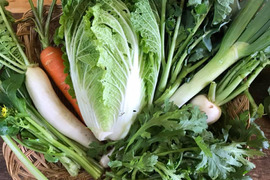 究極の鍋野菜セット【栽培期間中農薬不使用】