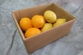 香りと酸味を楽しむ｜マイヤーレモン＆リスボンレモン 食べ比べセット1kg
皮まで使える・静岡県産