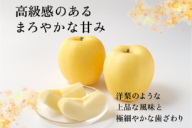 【幻の林檎】はるか 5キロ箱 11玉〜28玉サイズ  赤いサビ多いです 商品ID298400 長野県 信州 安曇野 リンゴ 幻 幻のリンゴ 予約 希少 旬