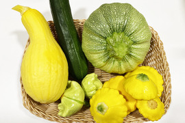 ズッキーニ（約1.5kg）農薬・化学肥料不使用