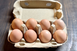 １日数量限定 平飼い『盈月の卵』世界最大級の鶏ブラマの卵8個入り