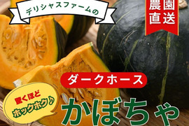 カボチャおためし！1.5ｋｇ