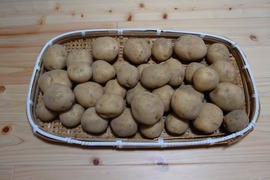 1月掘り出し新鮮ジャガイモ(ニシユタカ)5kg  M〜Lサイズ