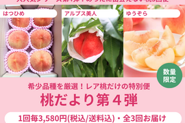 【限定100セット】3種の桃だより第4弾（食べチョク公式）