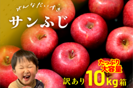 すぐに届きます！  サンふじ 10キロ箱 訳あり品 ID10624長野県 信州 安曇野 リンゴ 幻 幻のリンゴ 予約 希少 旬 甘い 10キロ箱お得です！