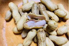 【1ヶ月間限定】自然栽培堀りたて「なま」落花生