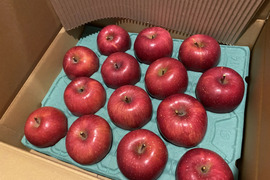 【信州飯綱産サンふじ】絶妙な甘みと酸味のリンゴ（3kg）