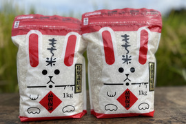 令和5年産　特別栽培米　もち米　1㎏×2袋　ヒメノモチ