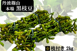 【数量限定】丹波篠山 黒枝豆 枝付き2㎏ 丹波篠山産 丹波 枝豆 もっちり 黒大豆 大粒 波部黒 丹波黒 高級 2kg 黒大豆枝豆 枝付き 贈答品 束 丹波篠山黒枝豆 枝豆 丹波 黒豆