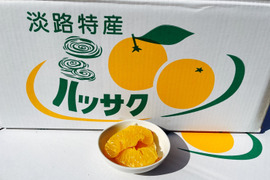 スッキリ爽やかな淡路島うしろ農園のはっさく（5kg）