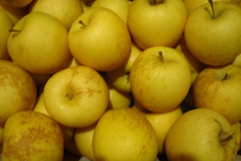 はるか(有袋) 樹上完熟 小玉 家庭用 総重量 約4kg 青森県 南部地方産 自家りんご農園生産直送品！